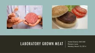 Laboratory grown meat