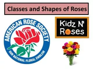 Classes and Shapes of Roses