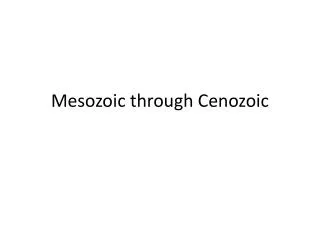 Mesozoic through Cenozoic