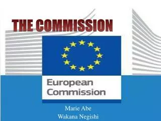 THE COMMISSION
