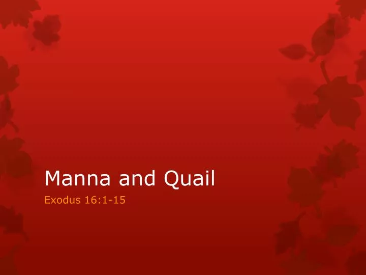 manna and quail