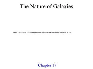 The Nature of Galaxies