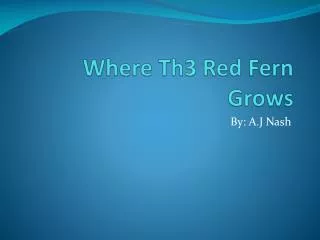 Where Th3 Red Fern Grows