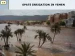 SPATE IRRIGATION IN YEMEN
