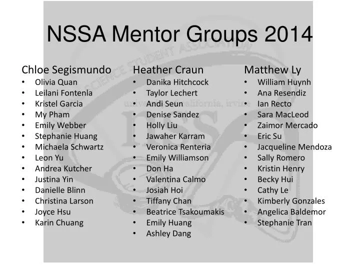 nssa mentor groups 2014