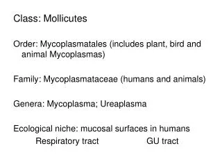 Class: Mollicutes Order: Mycoplasmatales (includes plant, bird and animal Mycoplasmas)