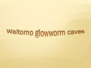 Waitomo glowworm caves
