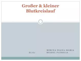 gro er kleiner blutkreislauf
