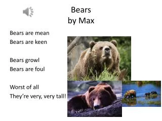 Bears by Max