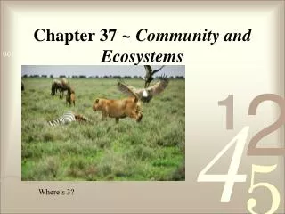 Chapter 37 ~ Community and Ecosystems