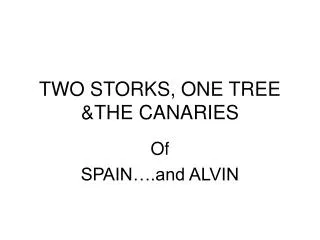 TWO STORKS, ONE TREE &amp;THE CANARIES
