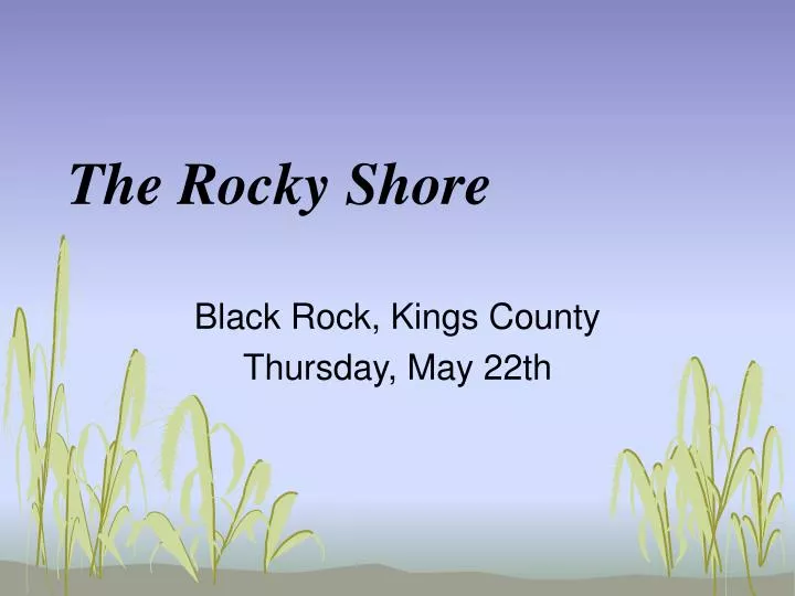 the rocky shore