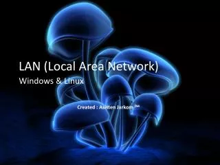 lan local area network