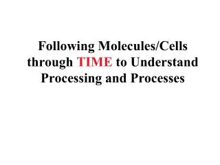 Following Molecules/Cells through TIME to Understand Processing and Processes