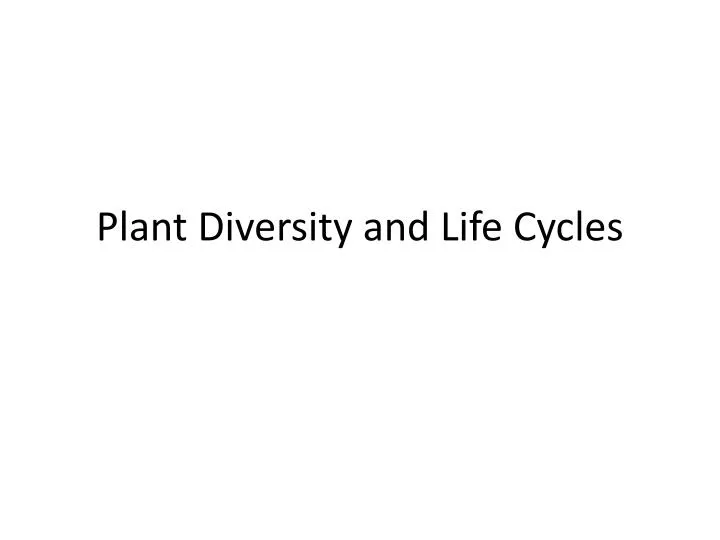 plant diversity and life cycles