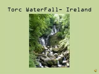 Torc WaterFall - Ireland