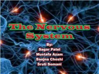 The Nervous System