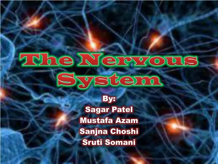 the nervous system