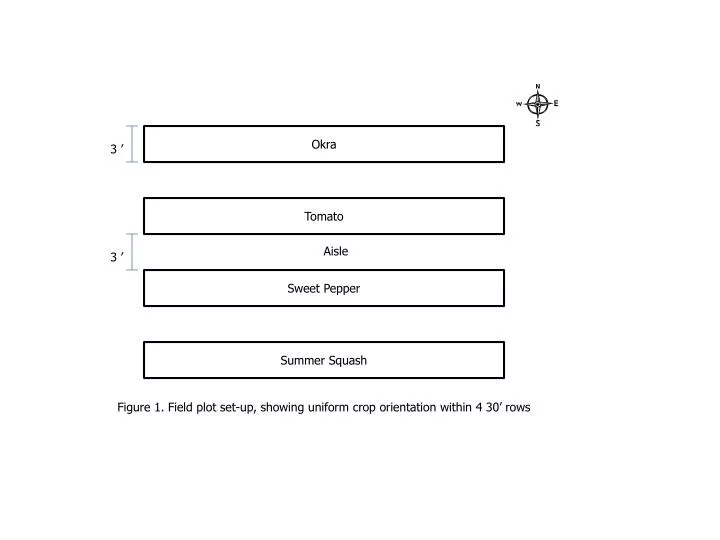 figure 1 field plot set up showing uniform crop orientation within 4 30 rows