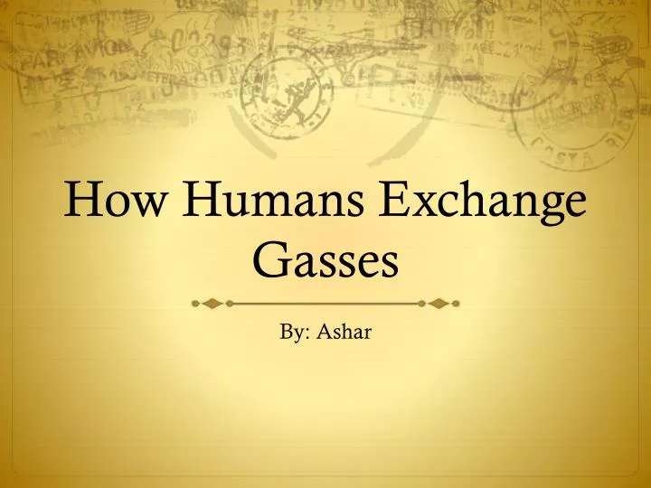 how humans exchange gasses