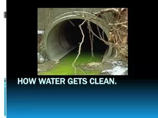 How water gets clean.