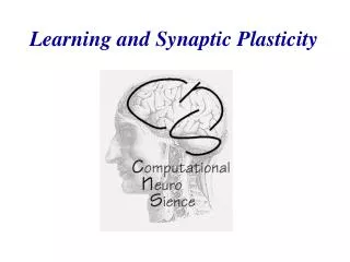 Learning and Synaptic P lasticity