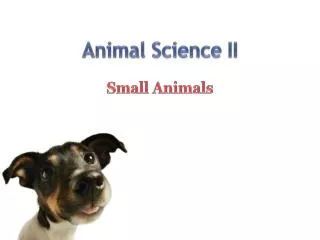 Animal Science II