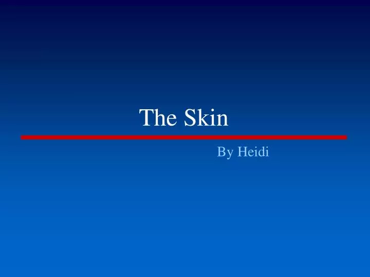 the skin