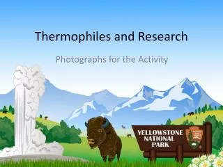 Thermophiles and Research