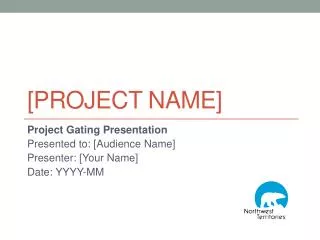 [Project Name]