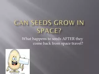 Can seeds grow in space?
