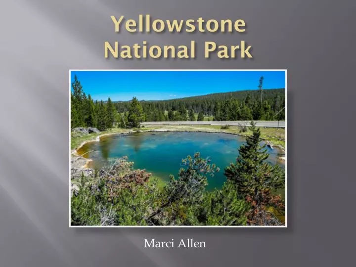 yellowstone national park
