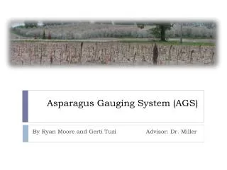 Asparagus Gauging System (AGS)