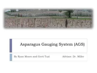 asparagus gauging system ags