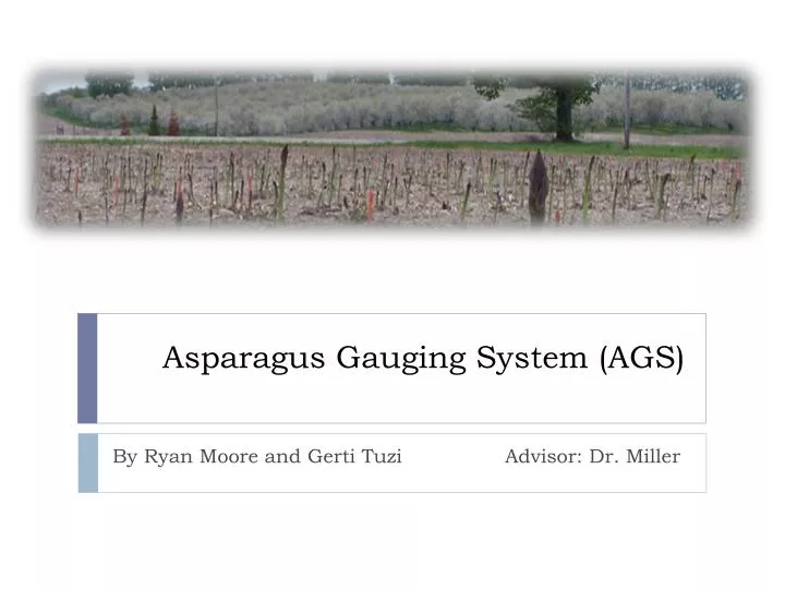 asparagus gauging system ags