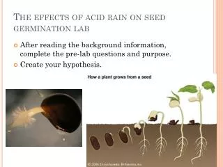 The effects of acid rain on seed germination lab