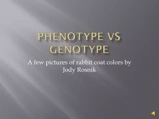 Phenotype vs Genotype