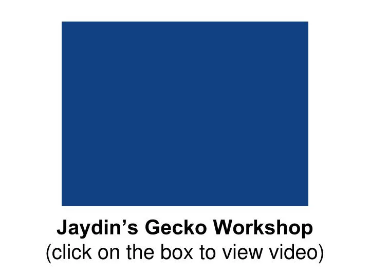 jaydin s gecko workshop click on the box to view video