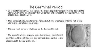 The Germinal Period