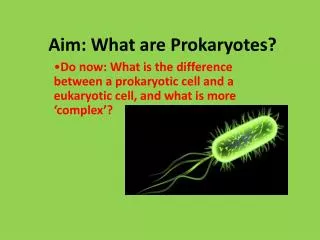 Aim: What are Prokaryotes ?
