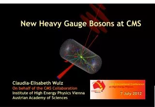 New Heavy Gauge Bosons at CMS