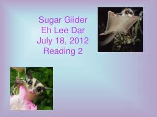 Sugar Glider Eh Lee Dar July 18, 2012 Reading 2