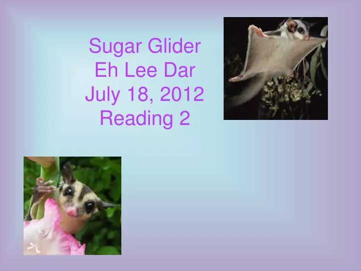 sugar glider eh lee dar july 18 2012 reading 2
