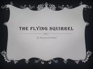 THE FLYING SQUIRREL