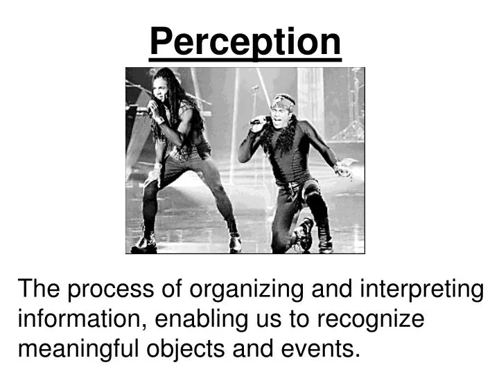perception