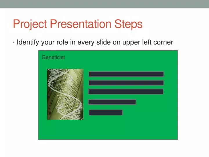 project presentation steps