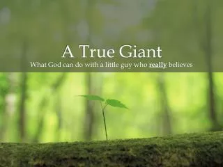 A True Giant