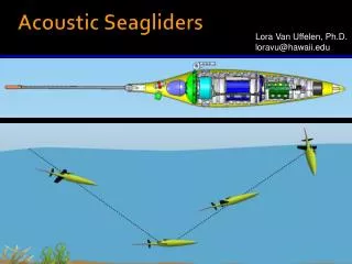 Acoustic Seagliders