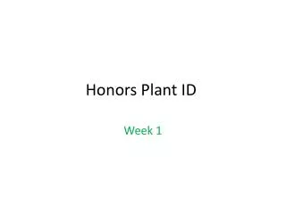 Honors Plant ID