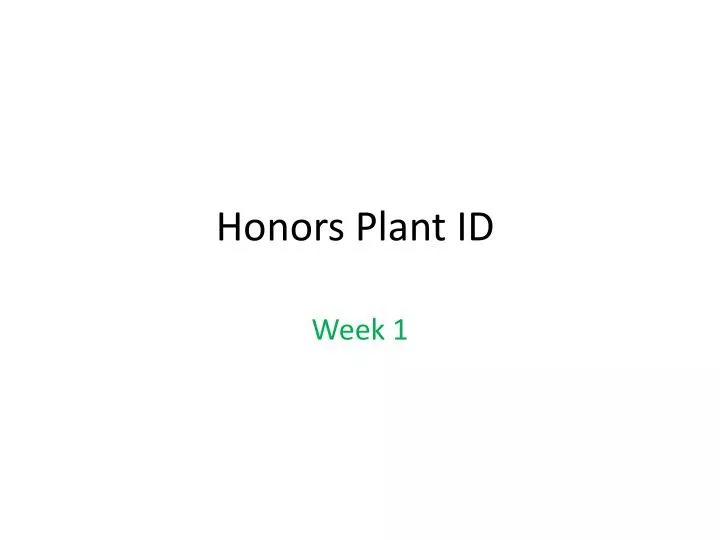 honors plant id
